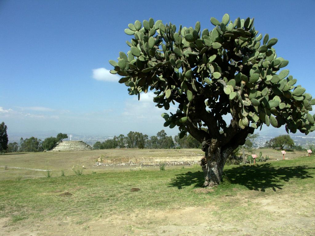 100213_Cacaxtla 096.JPG
